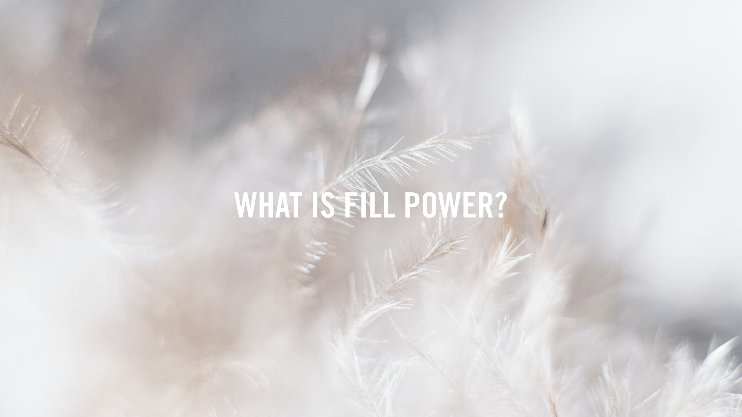 What is Fill Power?