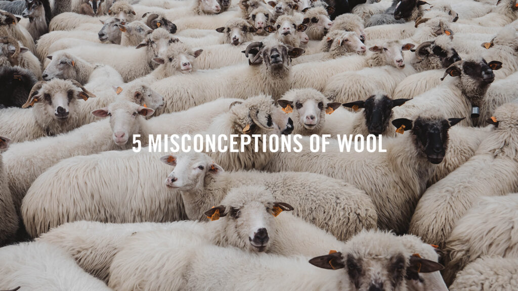 5 misconceptions of wool, why wool is cool