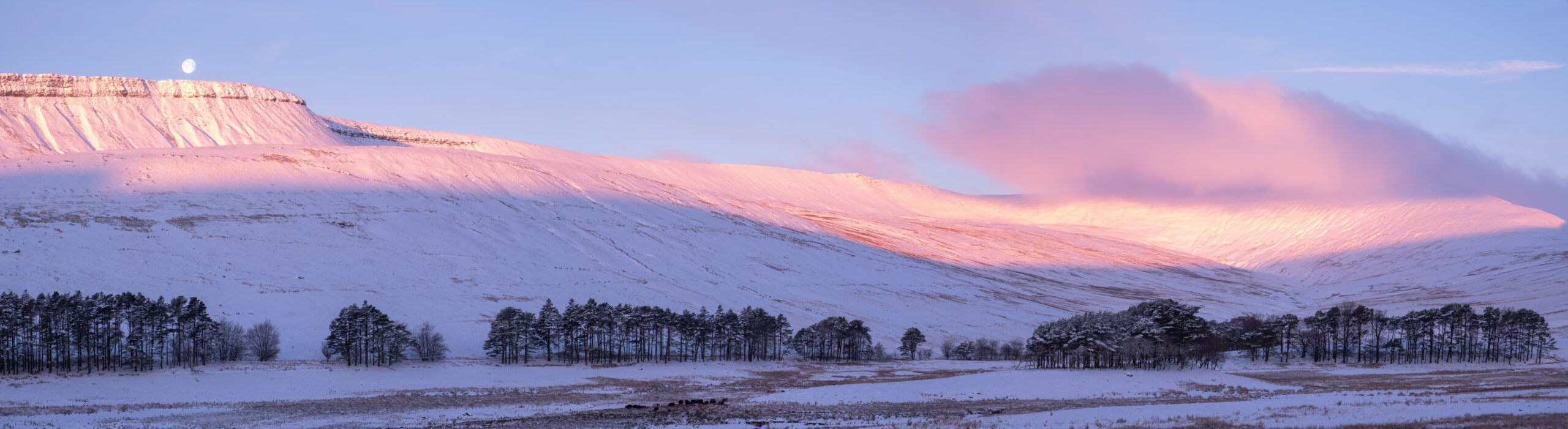 Winter Walking Trekitt's Top 10 Winter Walking Tips Trekitt Blog