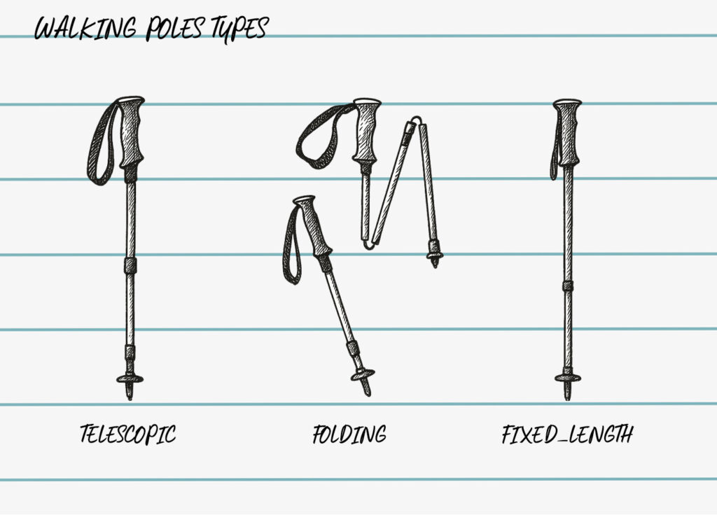 different walking poles types