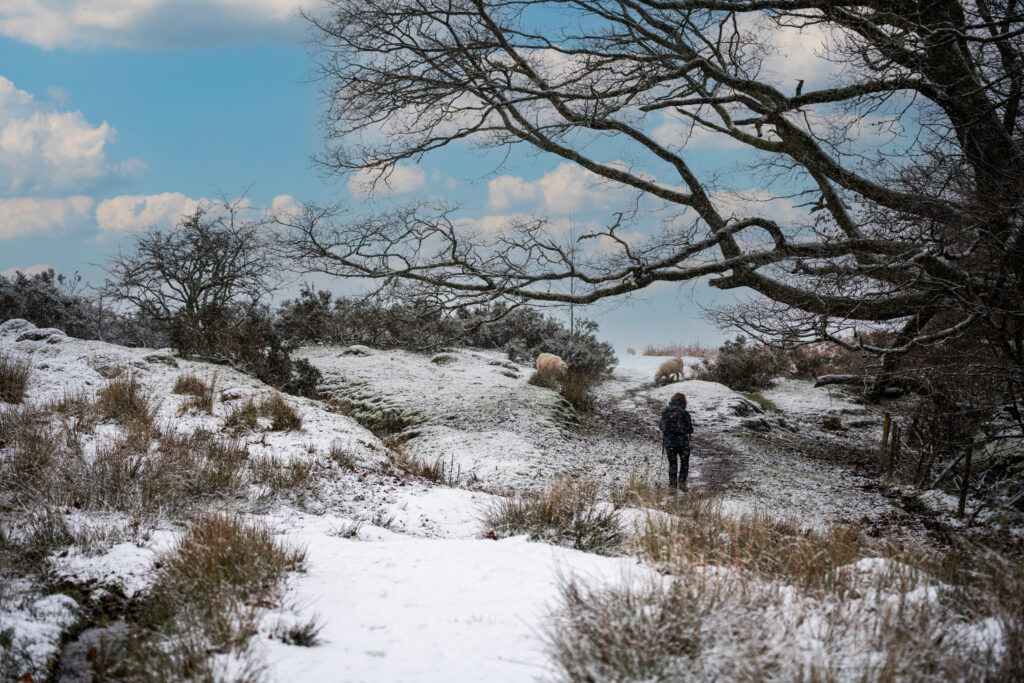 navigation challenge in winter conditions