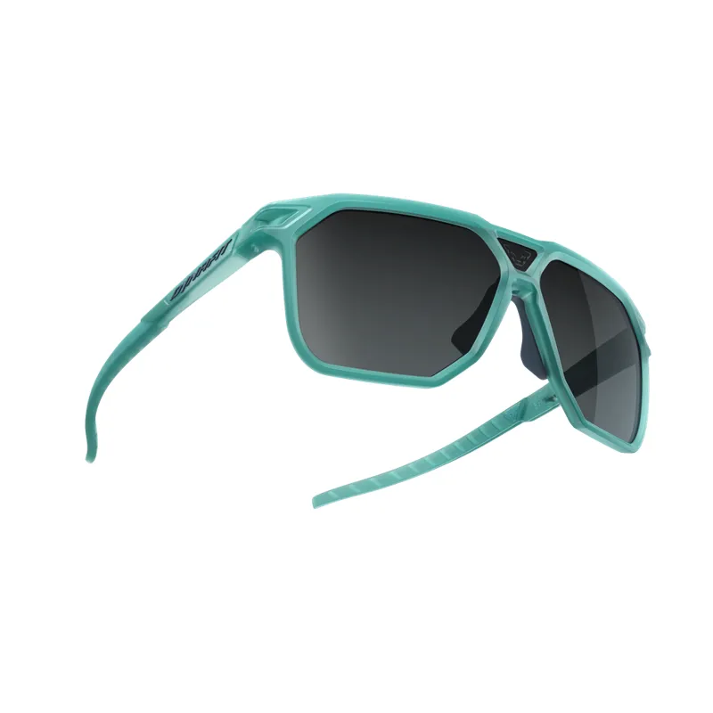 Dynafit Traverse Sunglasses Puritan Grey/Blueberry