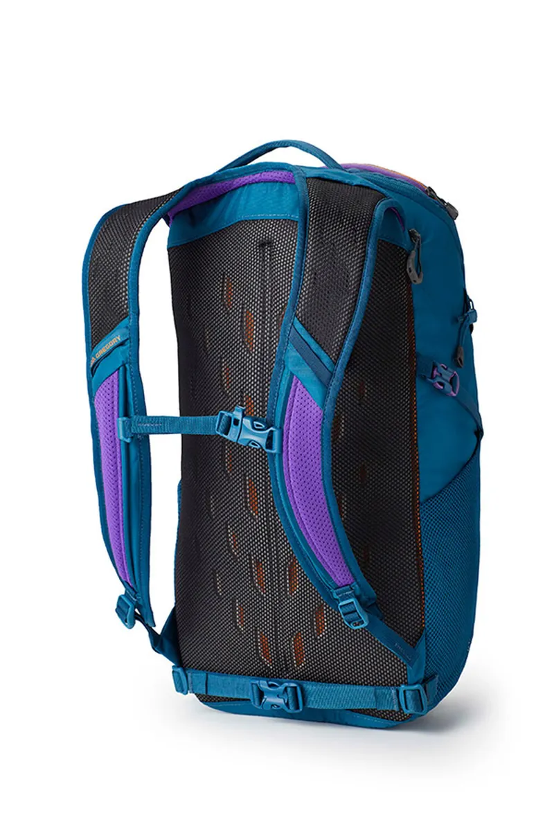 Gregory Unisex Nano 24 Backpack Icon Teal-1