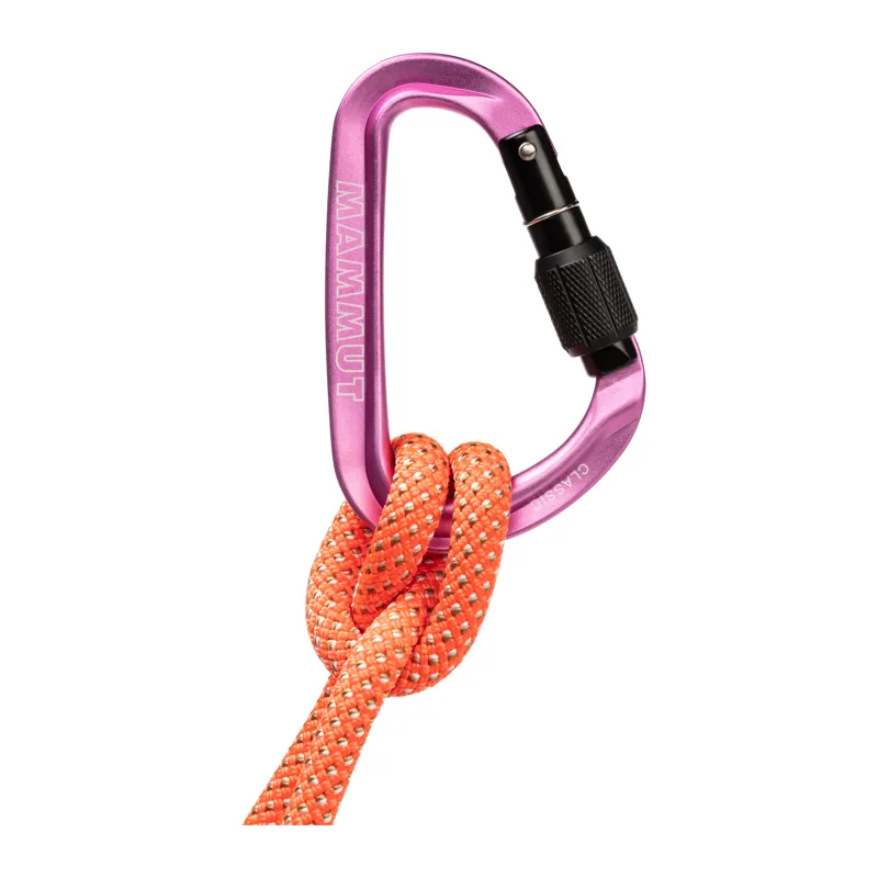 Mammut Classic HMS Screwgate Carabiner Pink-1