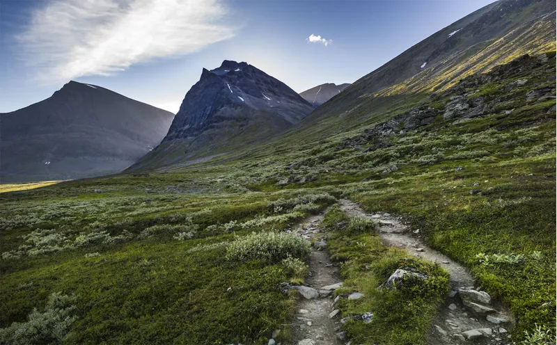 Fjallraven Mesh Inner Tent Lite-Shape 3 Black-1