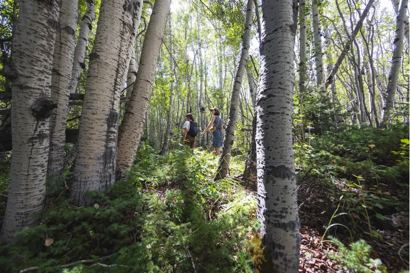 Royal Robbins Women's Spotless Traveler Tank Dress Jet Black-3