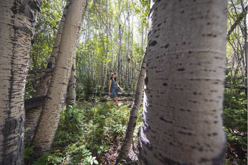 Royal Robbins Women's Spotless Traveler Tank Dress Jet Black-2