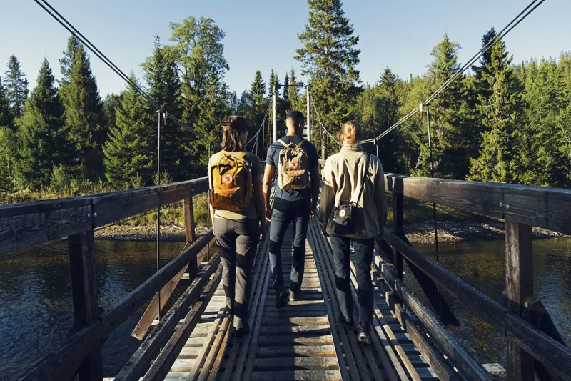 Fjallraven Kanken  Classic Blackberry-8