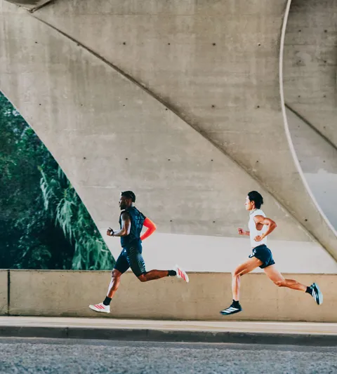 Adidas Terrex Agravic TT Review