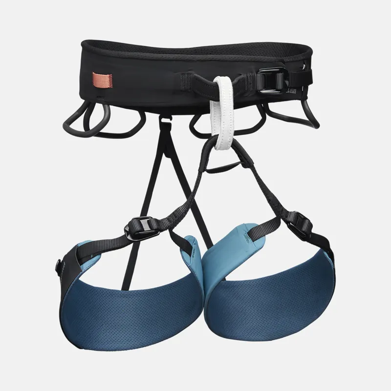 Climbing Harness