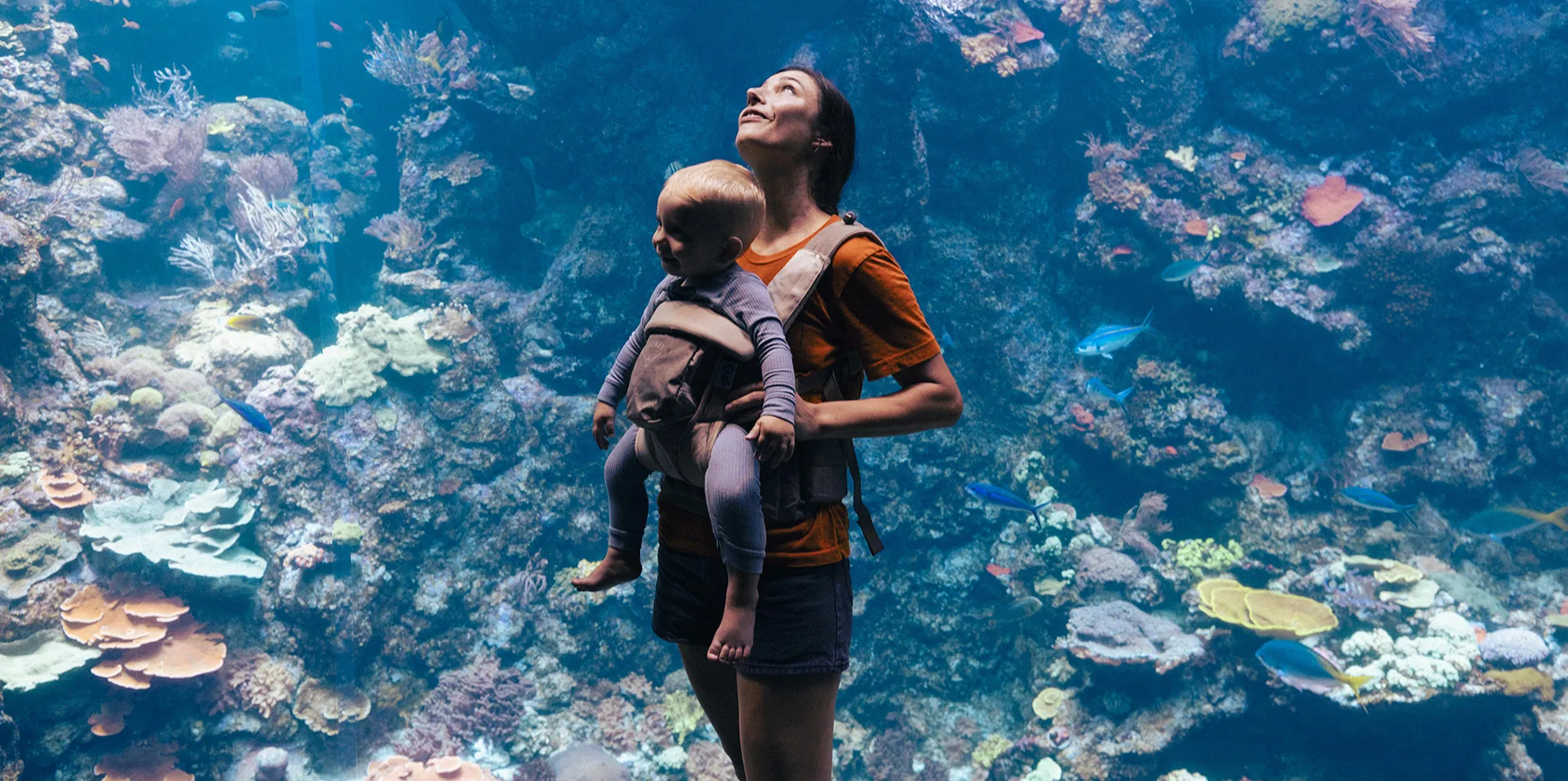Osprey Poco Soft Child Carrier LT