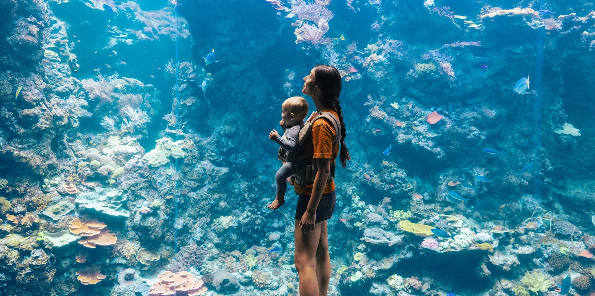 Osprey Poco Soft Child Carrier