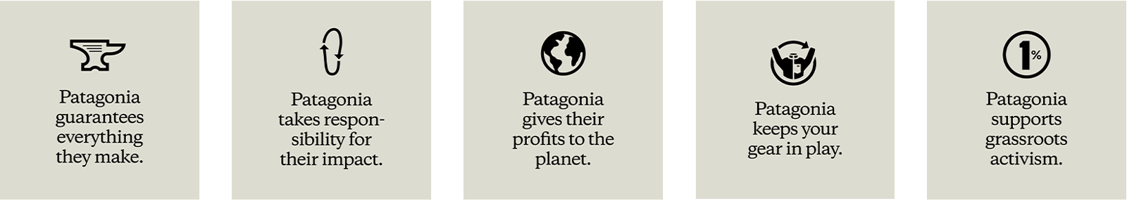 Patagonia purpose pillars