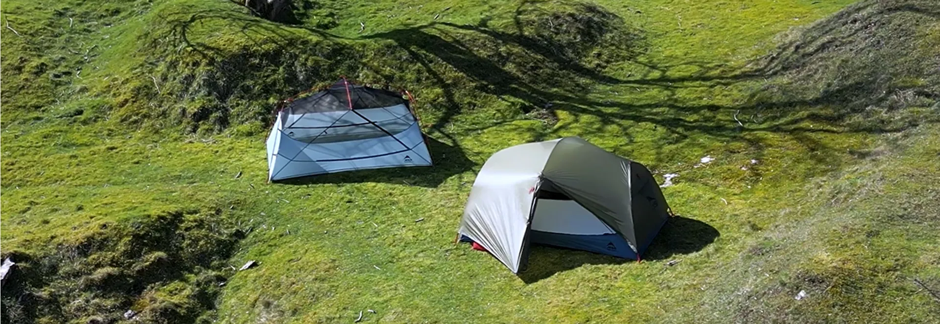 Tent advice gear picks and seasonal camping tips