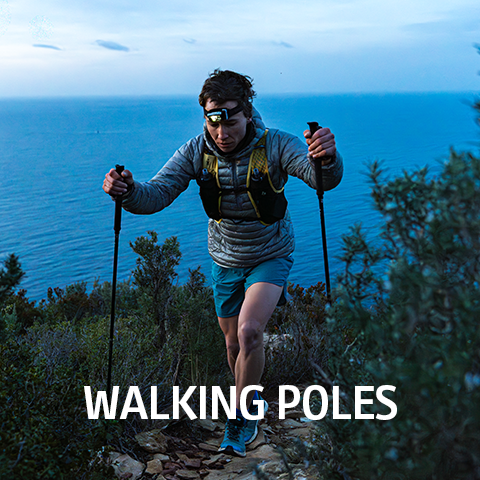 Black Diamond Walking Poles