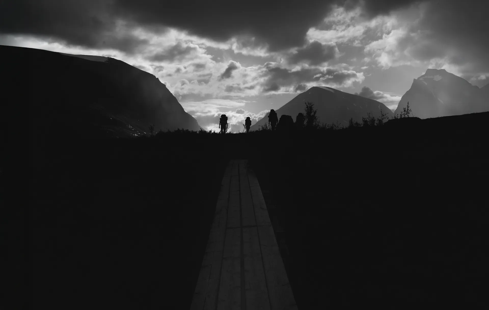 The Trekitt Friday Sale