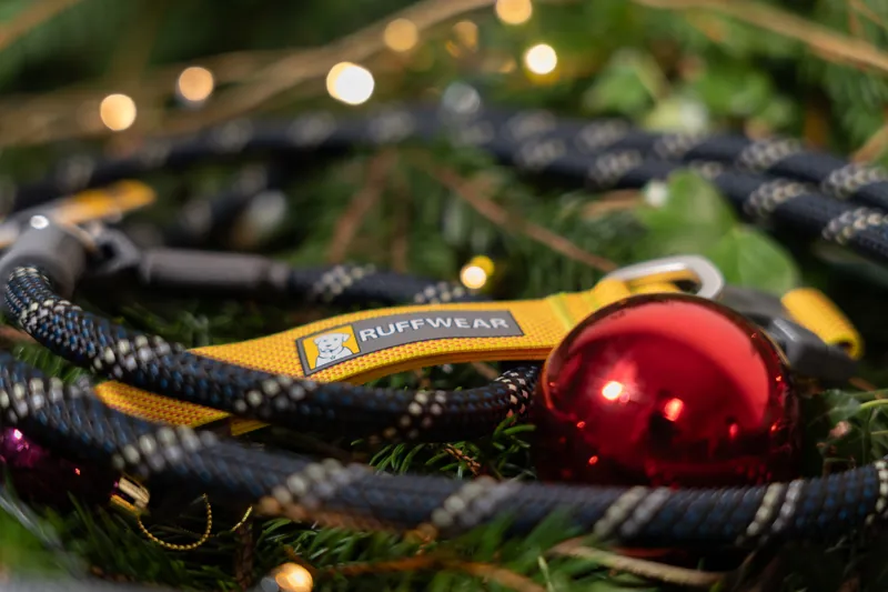 Christmas gifts for dogs