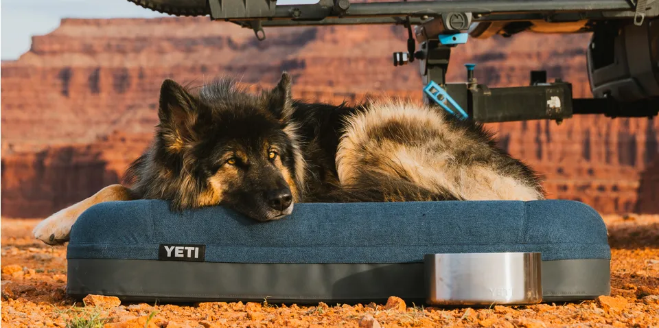 YETI Boomer Large Dog Bed