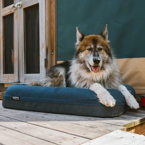 YETI Boomer Large Dog Bed Trekitt review