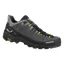 Salewa Mens Alp Trainer 2 GTX Onyx