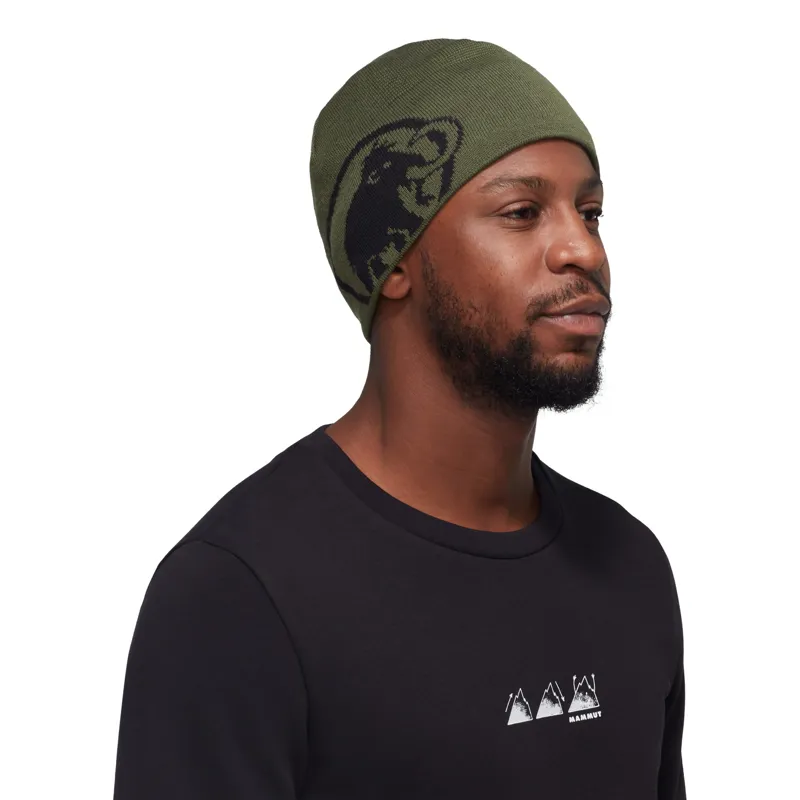 Mammut Tweak Beanie Dark Marsh-2