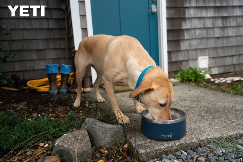 YETI Boomer 4 Dog Bowl Navy-4