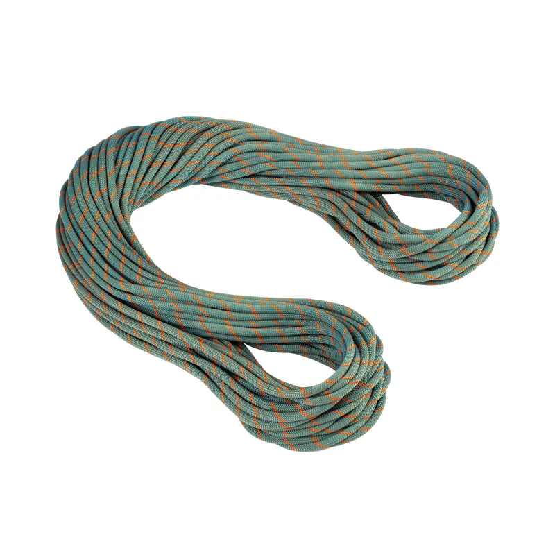 Mammut 9.9 Crag Workhorse Dry Rope 60m Boa