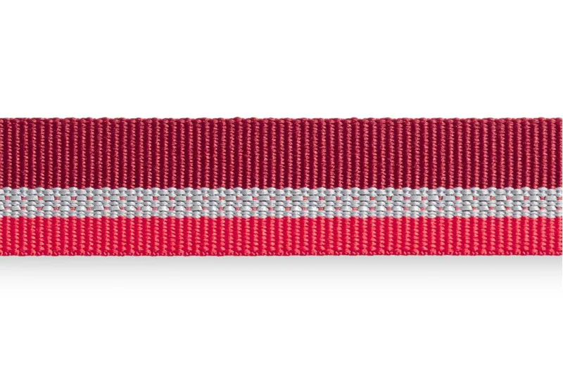 Ruffwear Crag Reflective Dog Collar Cindercone Red-1