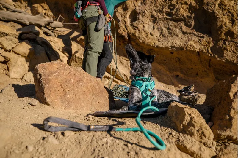 Ruffwear Knot-a-Collar Rope Dog Collar Aurora Teal-3