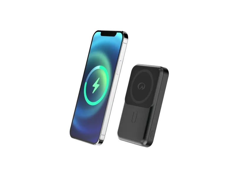 Lifeventure Magnetic Wireless Powerbank-1