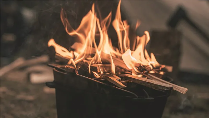 Robens Carson Dutch Oven 8.2L-3