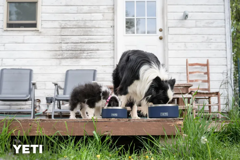 YETI Boomer 4 Dog Bowl Navy-6