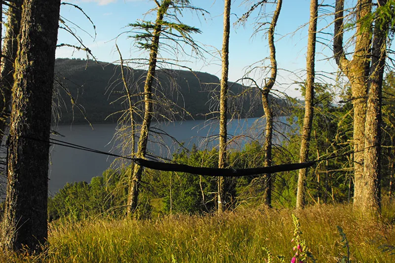 DD Hammocks Hammock Sleeve Olive Green-3