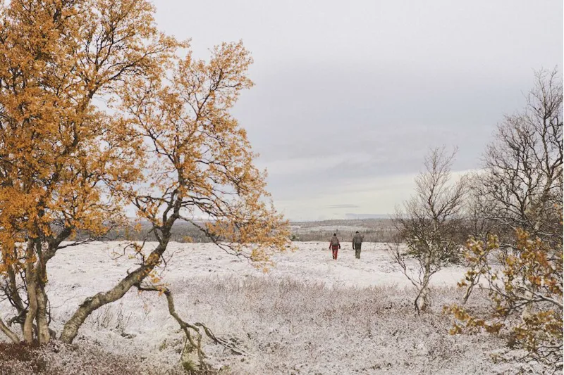 Fjallraven Singi Stubben Stone Grey-6