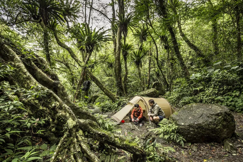 Fjallraven B Grade Abisko Lite 2 Tent Pine-8