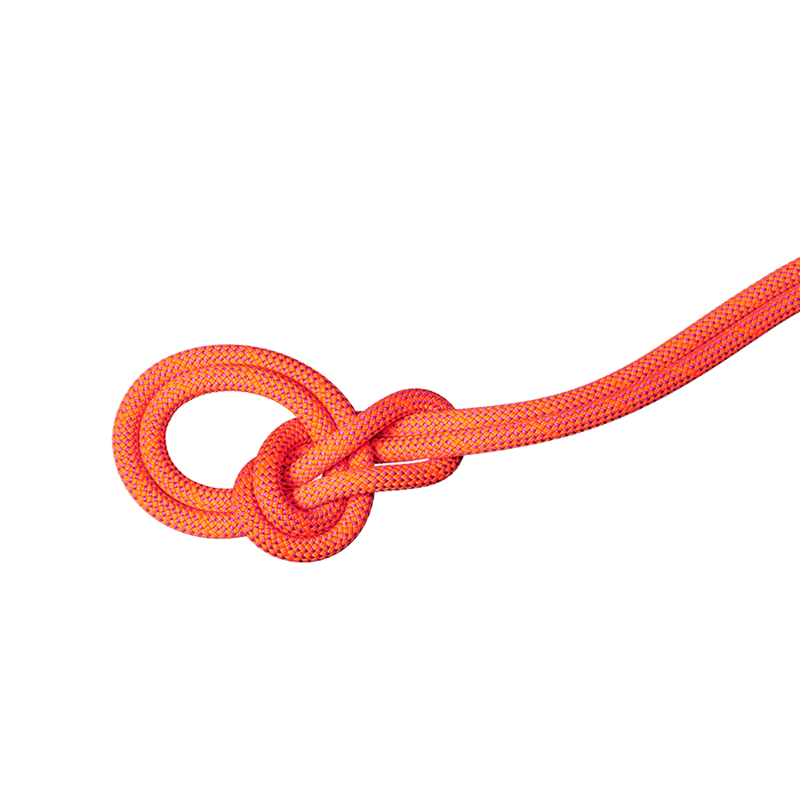 Mammut 9.8mm Crag Dry Rope Vibrant Orange/Lavandin 60m 