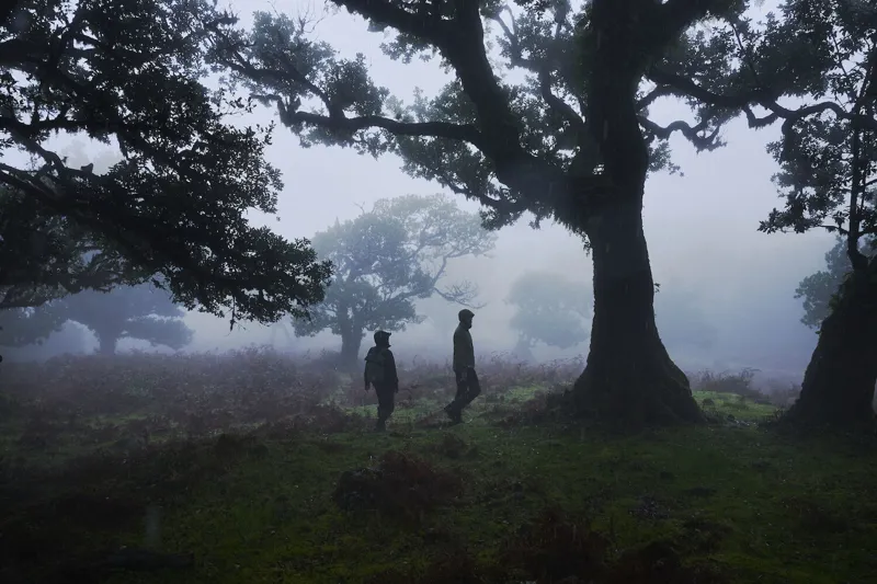 Fjallraven High Coast Foldsack 24 Patina Green-7