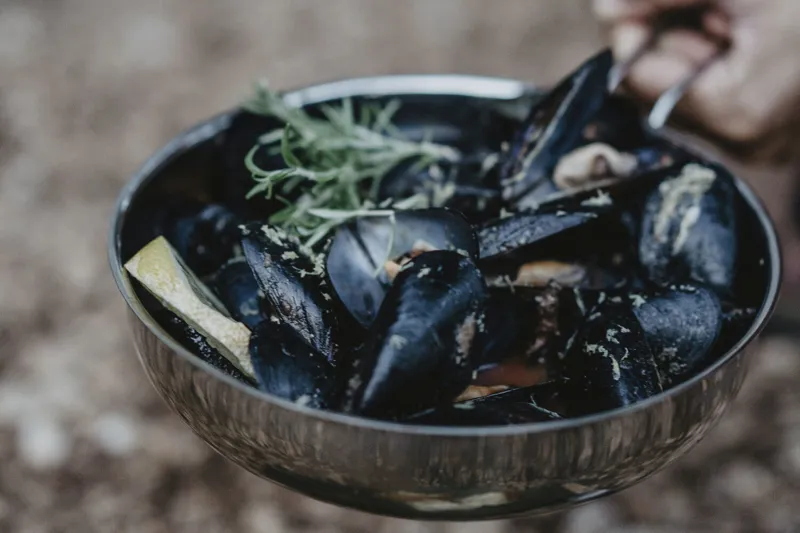 Primus Campfire Frying Pan Stainless Steel 25cm-3