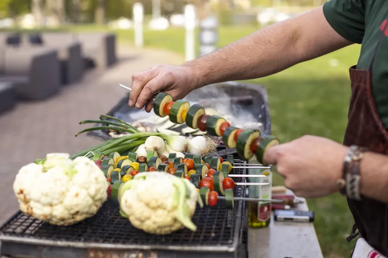 Primus Skewers 6pcs-3