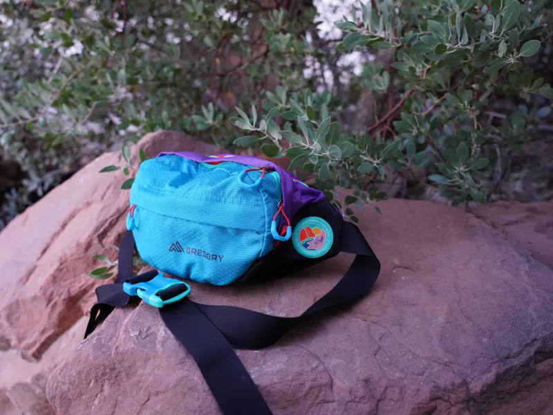 Gregory Nano 3.5L Waist Pack Purple-3