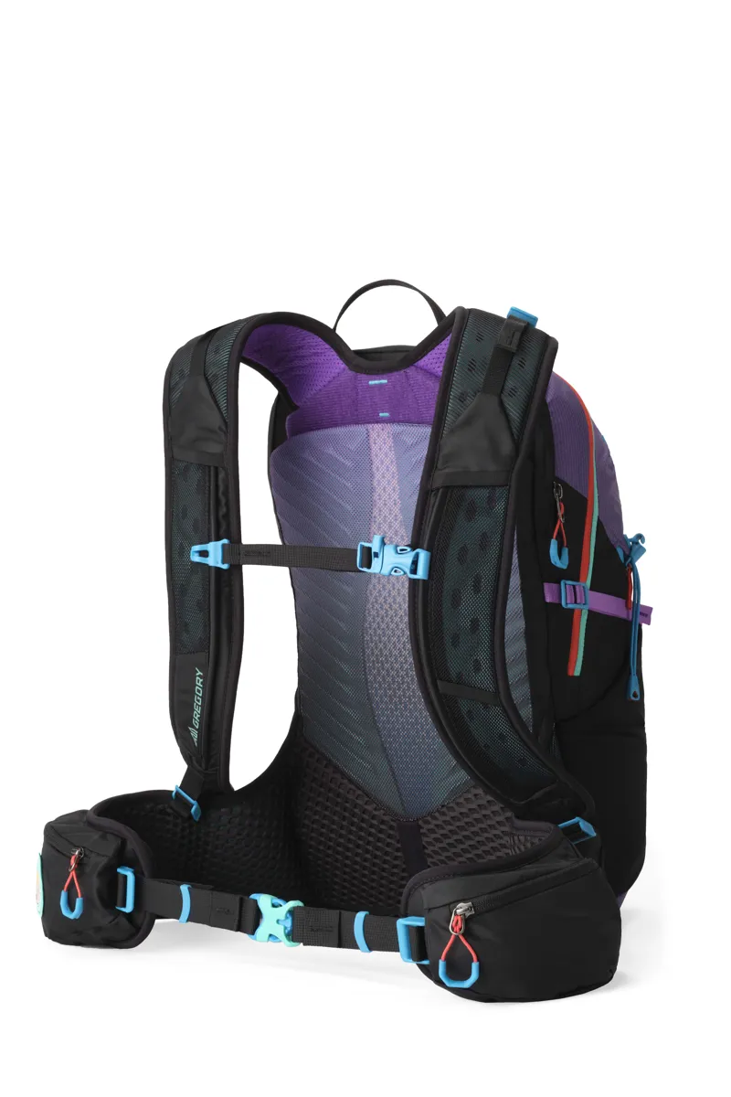 Gregory Maya 20 Plus  Backpack Purple-2