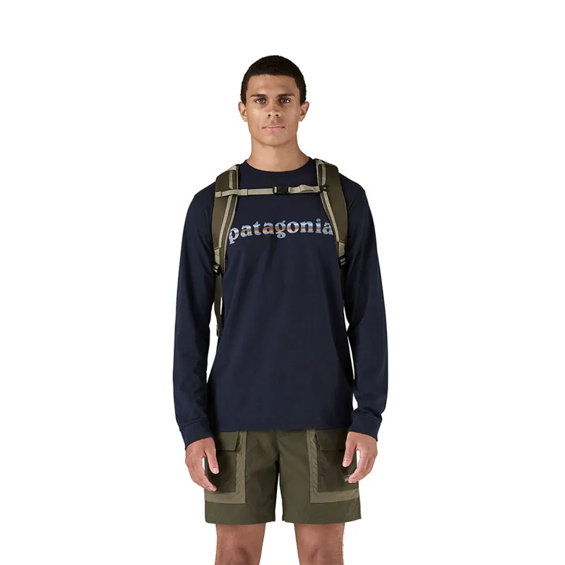 Patagonia Black Hole Pack 25L Basin Green-3