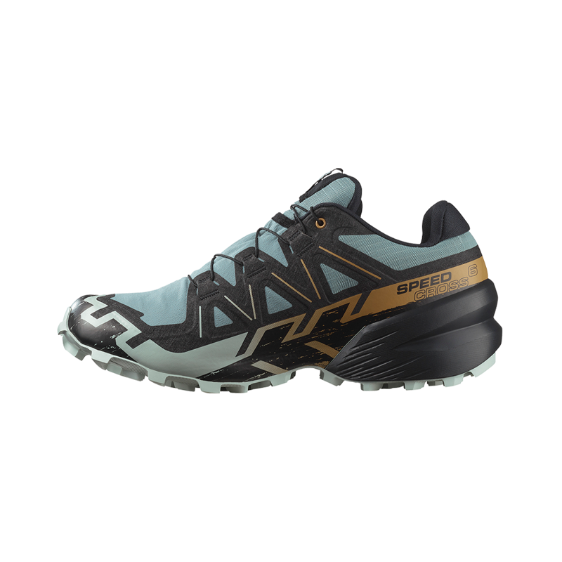 Salomon Mens Speedcross 6 GTX Trooper/Black/Wood Thrush-1
