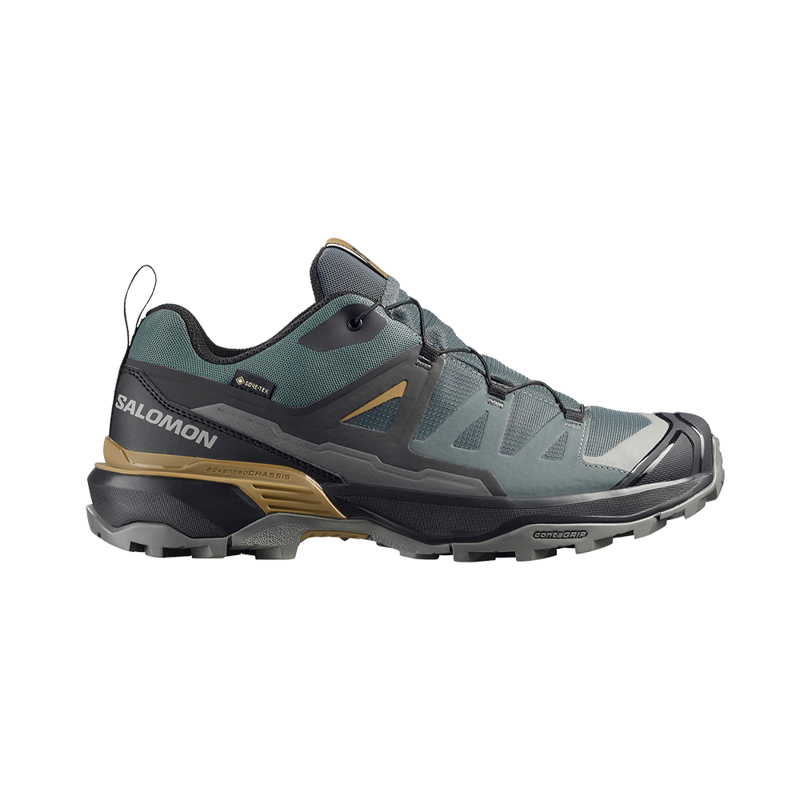 salomon x ultra low gtx