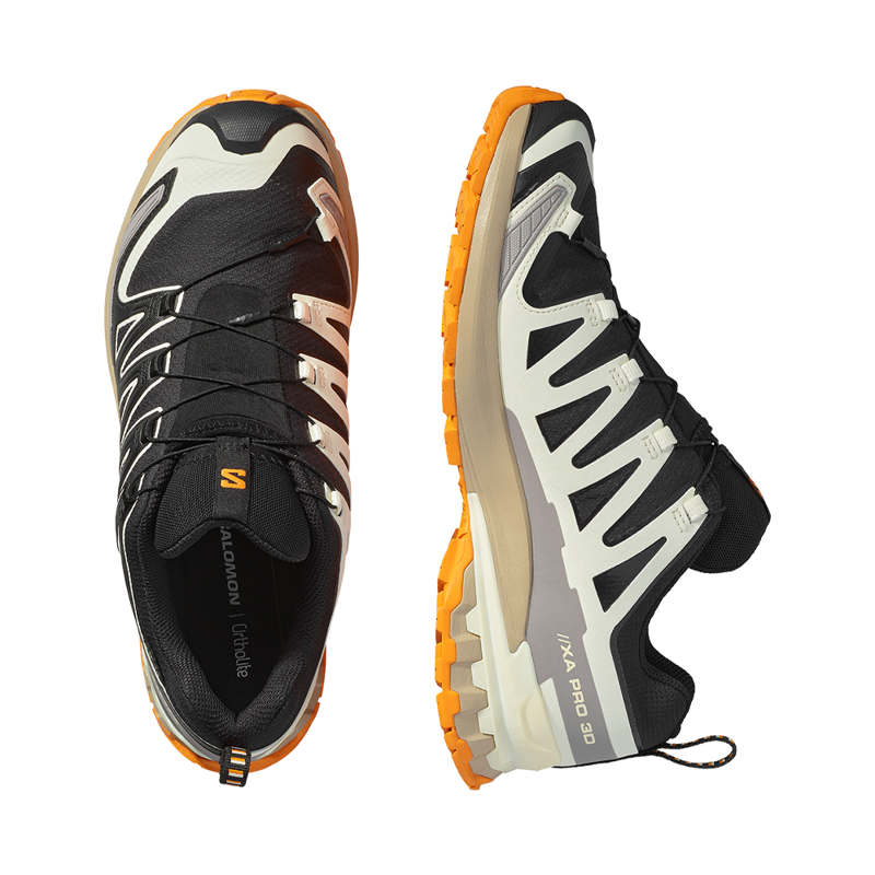 Salomon Mens XA Pro 3D V9 GTX Black/Vanilla Ice/Turmeric -4