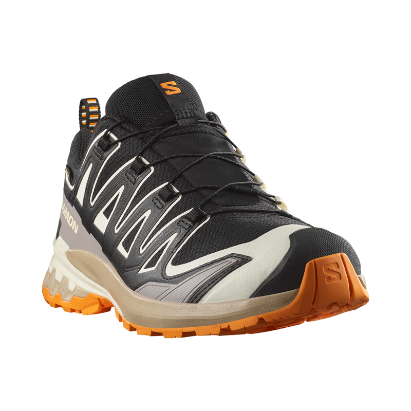 Salomon Mens XA Pro 3D V9 GTX Black/Vanilla Ice/Turmeric -3