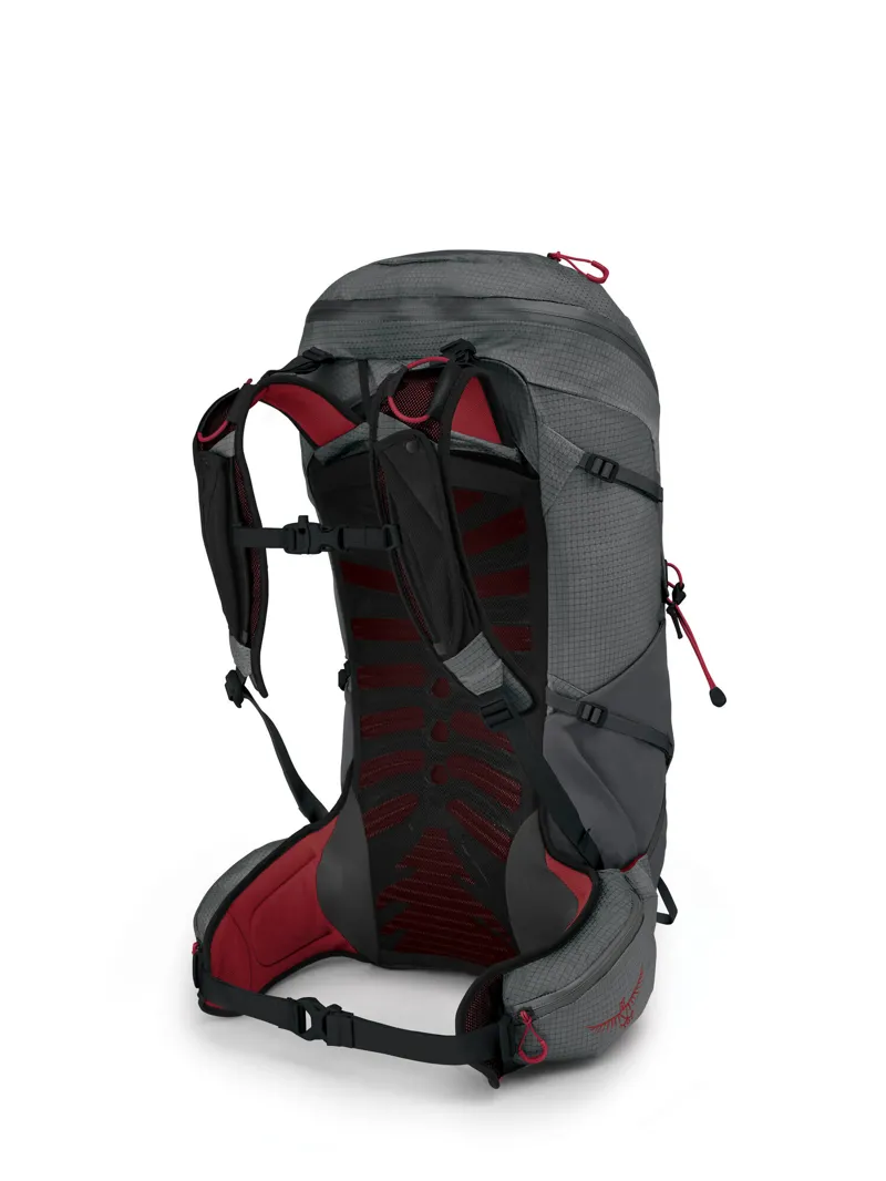 Osprey Talon Pro 30 Backpack Carbon-2