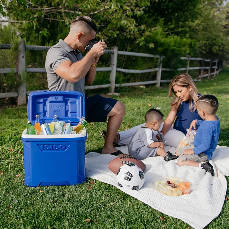 Igloo Profile II 30Qt Cool Box Blue-9