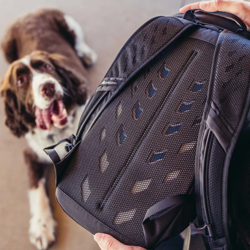 Gregory Nano 18L Backpack Chalk White-3