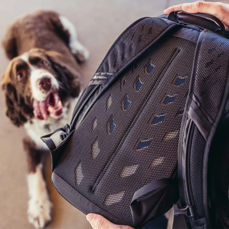 Gregory Nano 18L Backpack Moab Tan-3